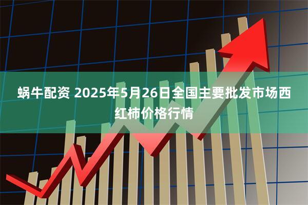 蜗牛配资 2025年5月26日全国主要批发市场西红柿价格行情