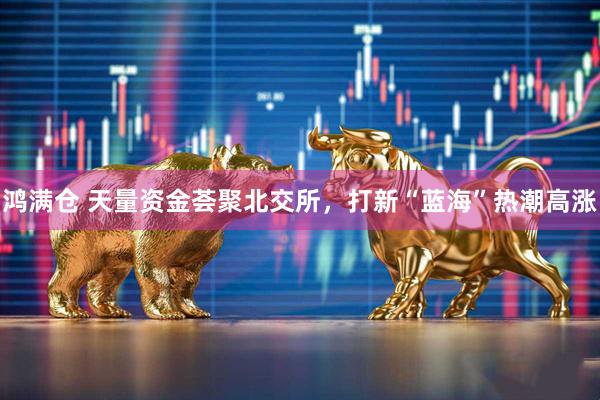 鸿满仓 天量资金荟聚北交所，打新“蓝海”热潮高涨