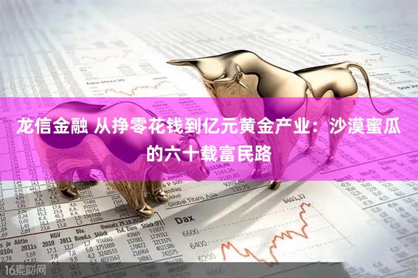 龙信金融 从挣零花钱到亿元黄金产业：沙漠蜜瓜的六十载富民路
