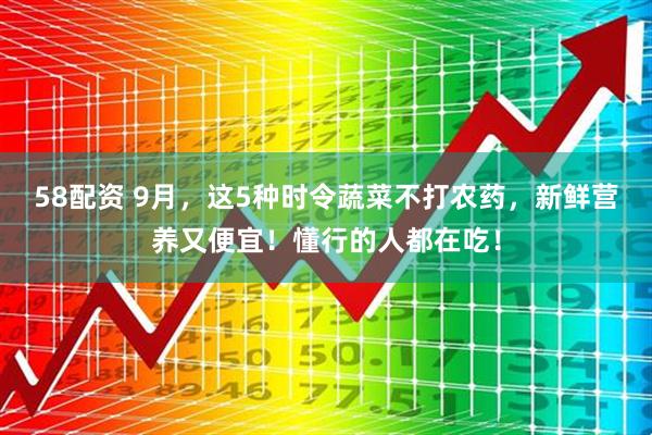 58配资 9月，这5种时令蔬菜不打农药，新鲜营养又便宜！懂行的人都在吃！