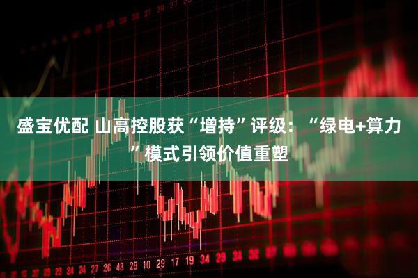 盛宝优配 山高控股获“增持”评级：“绿电+算力”模式引领价值重塑