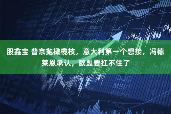 股鑫宝 普京抛橄榄枝，意大利第一个想接，冯德莱恩承认，欧盟要扛不住了